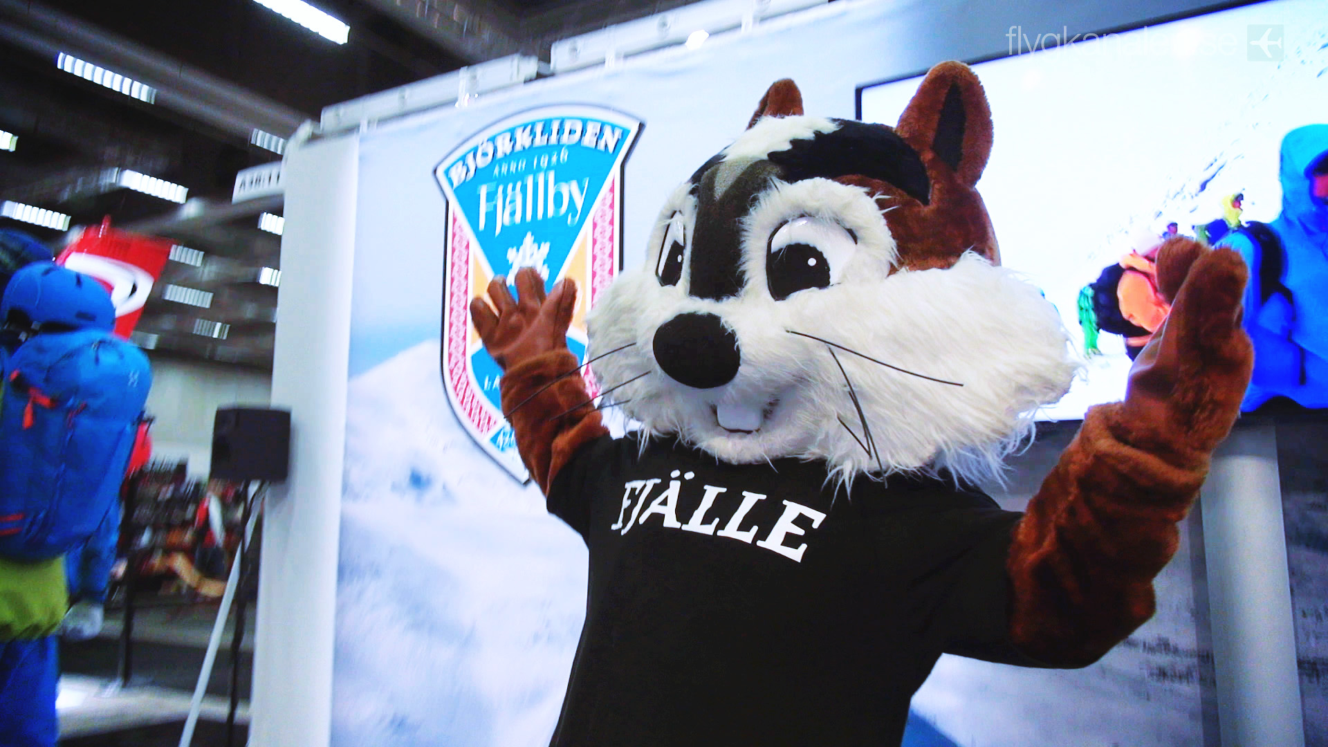 Flygets betydelse för vinterturismen 